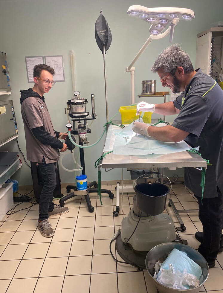 Les valeurs de la clinique vétérinaire du Bas-Poitou